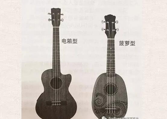 尤克里里是什么樣的樂器?尤克里里結構圖告訴你