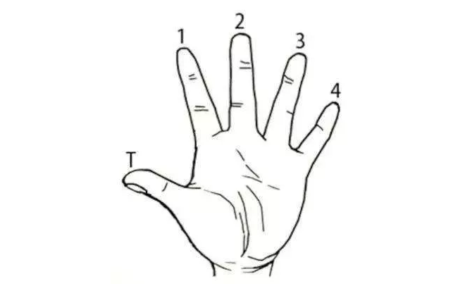 WҪWʲô֪R@Ă֪R회W