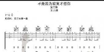 不是因?yàn)榧拍畔肽慵V 王小帥掃弦